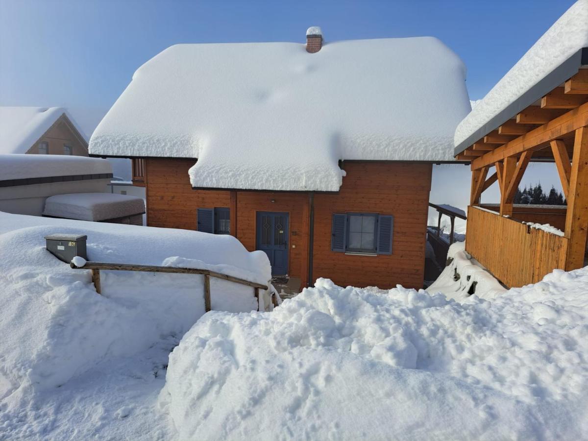 St Wolfgang-Kienberg - Ruhe Und Entspannung Mit Bester Aussicht Villa Obdach ภายนอก รูปภาพ